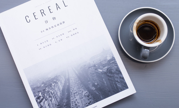 博世公司簡介(50篇范文)